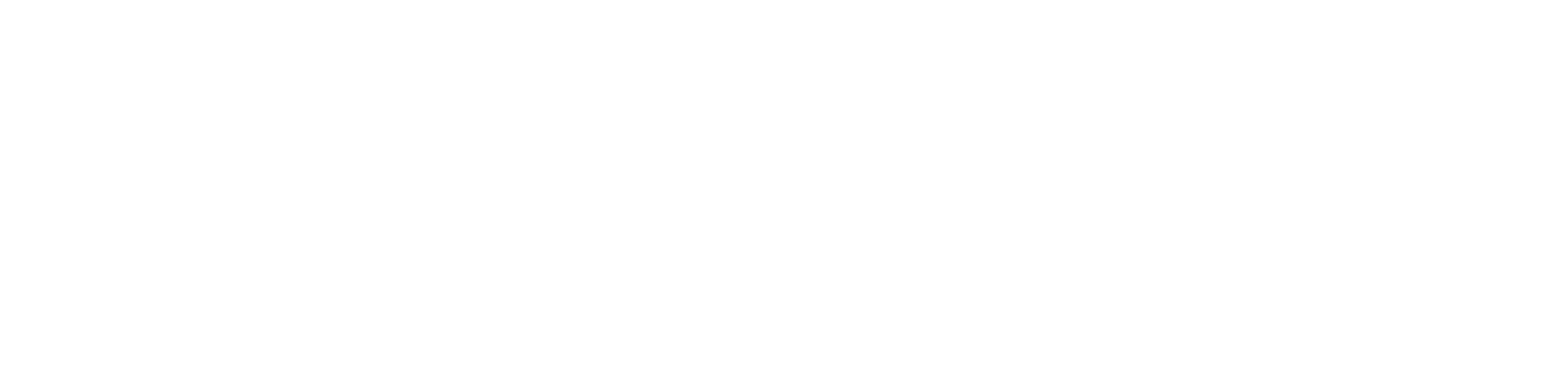 TinBug Studios